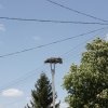 szl00039