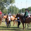 img_0016