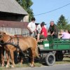 img_0018