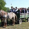 img_0042