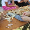 img_0172