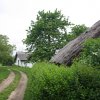 img_3055