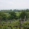 img_3067