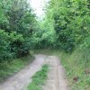 img_3086